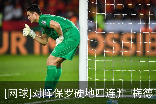 [网球]对阵保罗硬地四连胜 梅德韦杰夫闯进四强